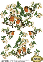 Decals Decoupage Paper A4 '' Birds on the branch''