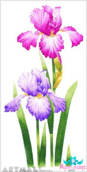 Irises № 1