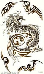 Tattoos "Power of the Dragon"