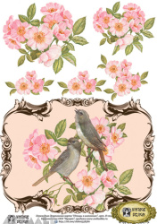 Decals Decoupage Paper A4 '' Birds in briars''