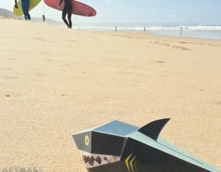 Shark Postcard
