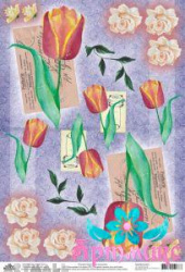 Tulips and roses on purple background