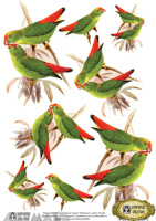 Decals Decoupage Paper A4 '' Parrots''
