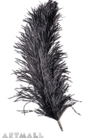 Writing set with ostrich feather black color