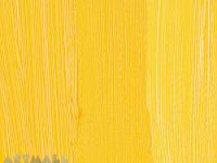 Cadmium Yellow Medium (hue)
