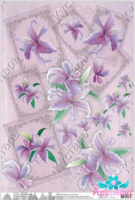 Purple lilies in frames