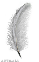 Writing set with ostrich feather white color