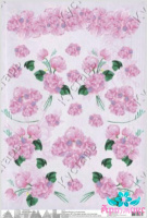 Peonies on a pink background